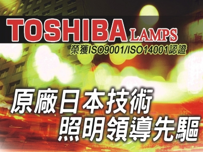 TOSHIBA/DJ Energy Saving Light Bulb